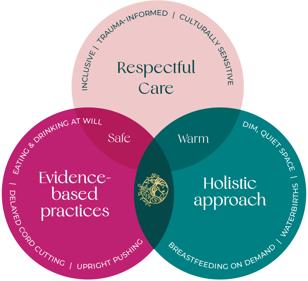 the embrace model of care